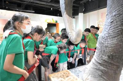 揭秘自然来信，共建绿色家园 | 青少年科学讲坛引领自然探索新风尚