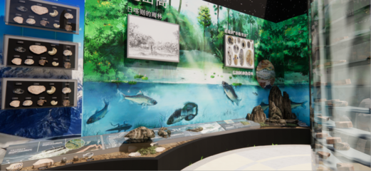 青藏高原综合科学考察与研究古生物展厅 在拉萨之巅，探寻生命演化的史诗