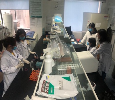 江苏大学生命科学学院再生医学研究成果获国际认可 多能性干细胞移植为疾病治疗开辟新篇章