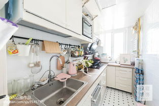 酒店厨房用品大全清单及其在自然科学研究中的应用介绍